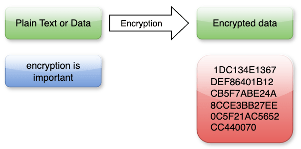 Screenshot-2024-06-28-at-08.43.20 Understanding Encryption, Decryption and Hashing